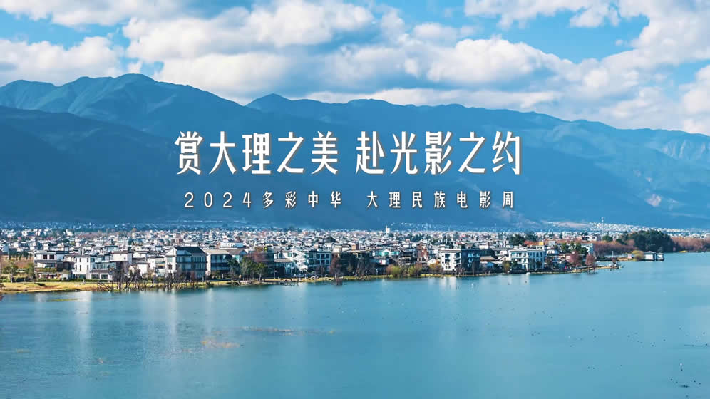 深山老林 | 大理民族电影周官方唯一指定茶礼 电影周纪念饼