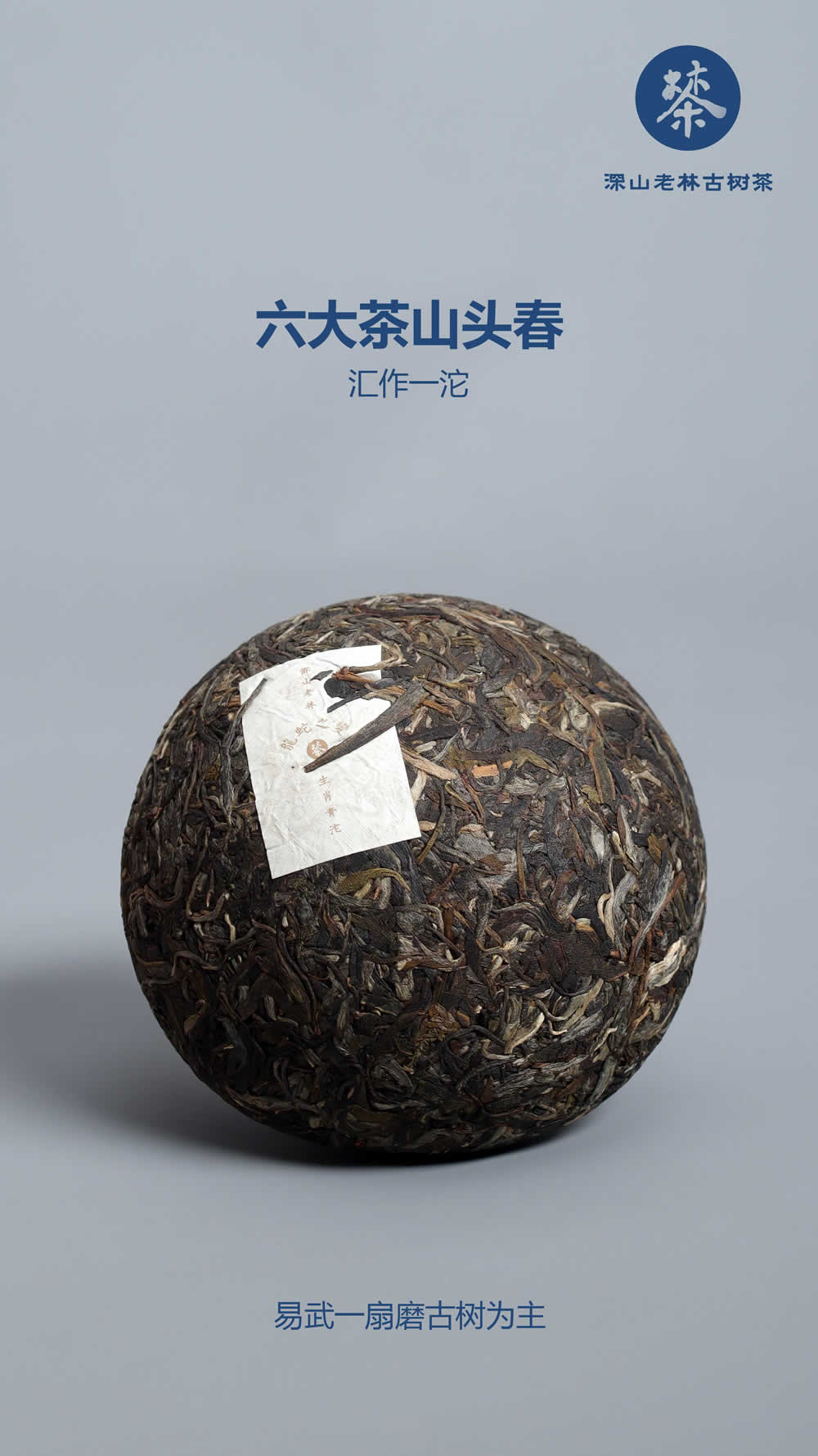 深山老林育珍茗，龙蛇之变兆祥瑞4.jpg