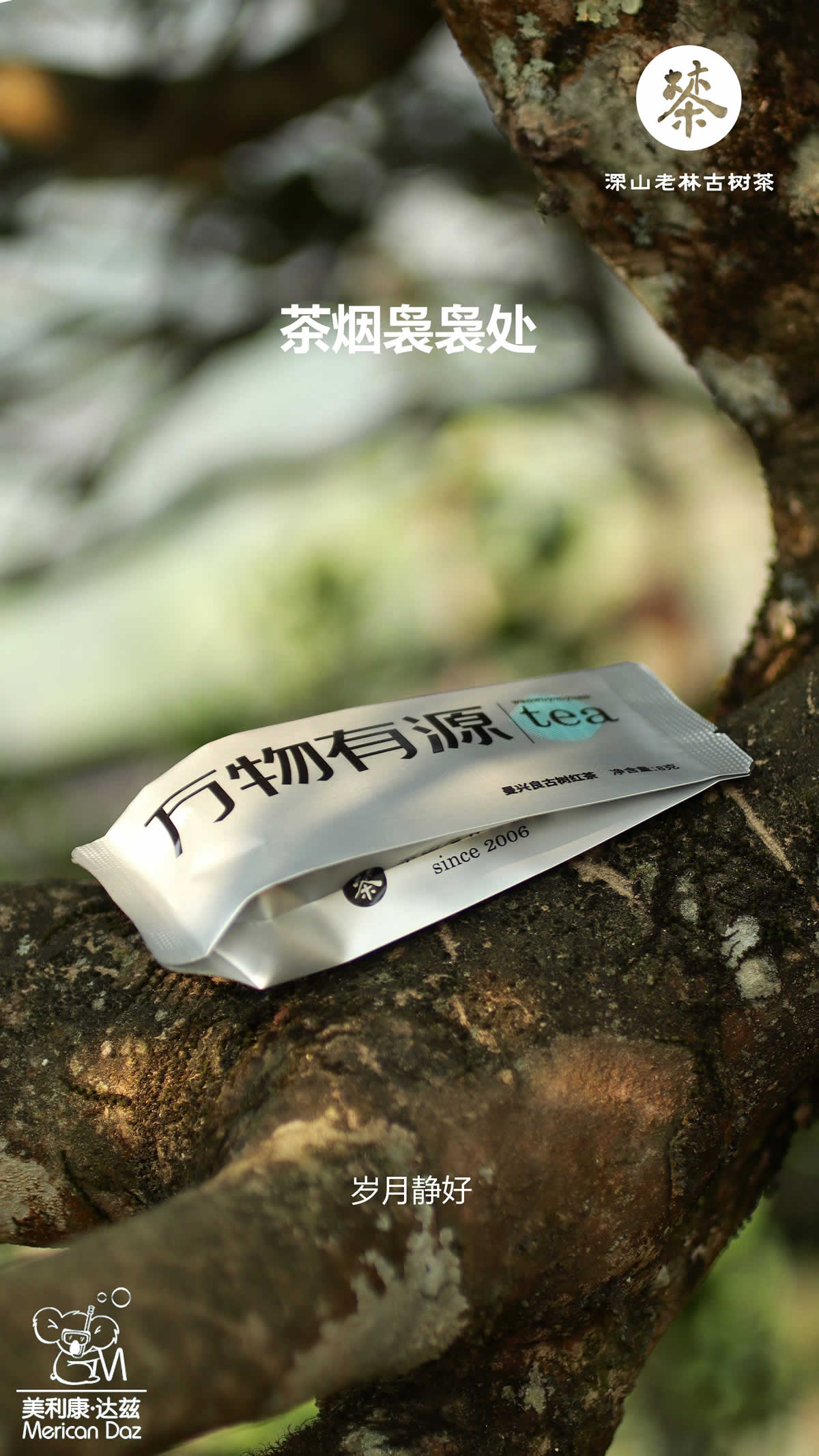 万物有源4.jpg