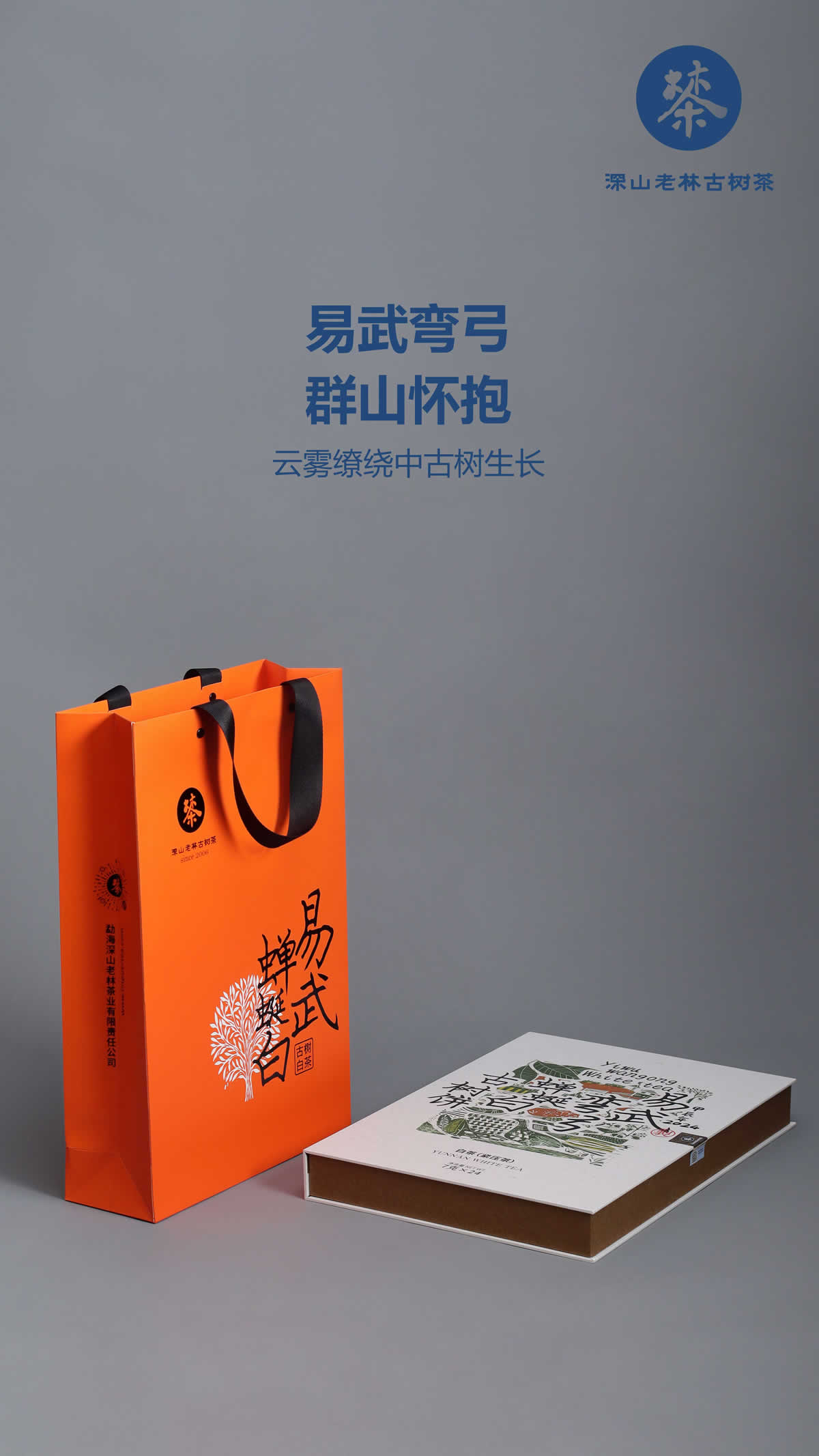 易武弯弓蝉蜒白茶3.jpg