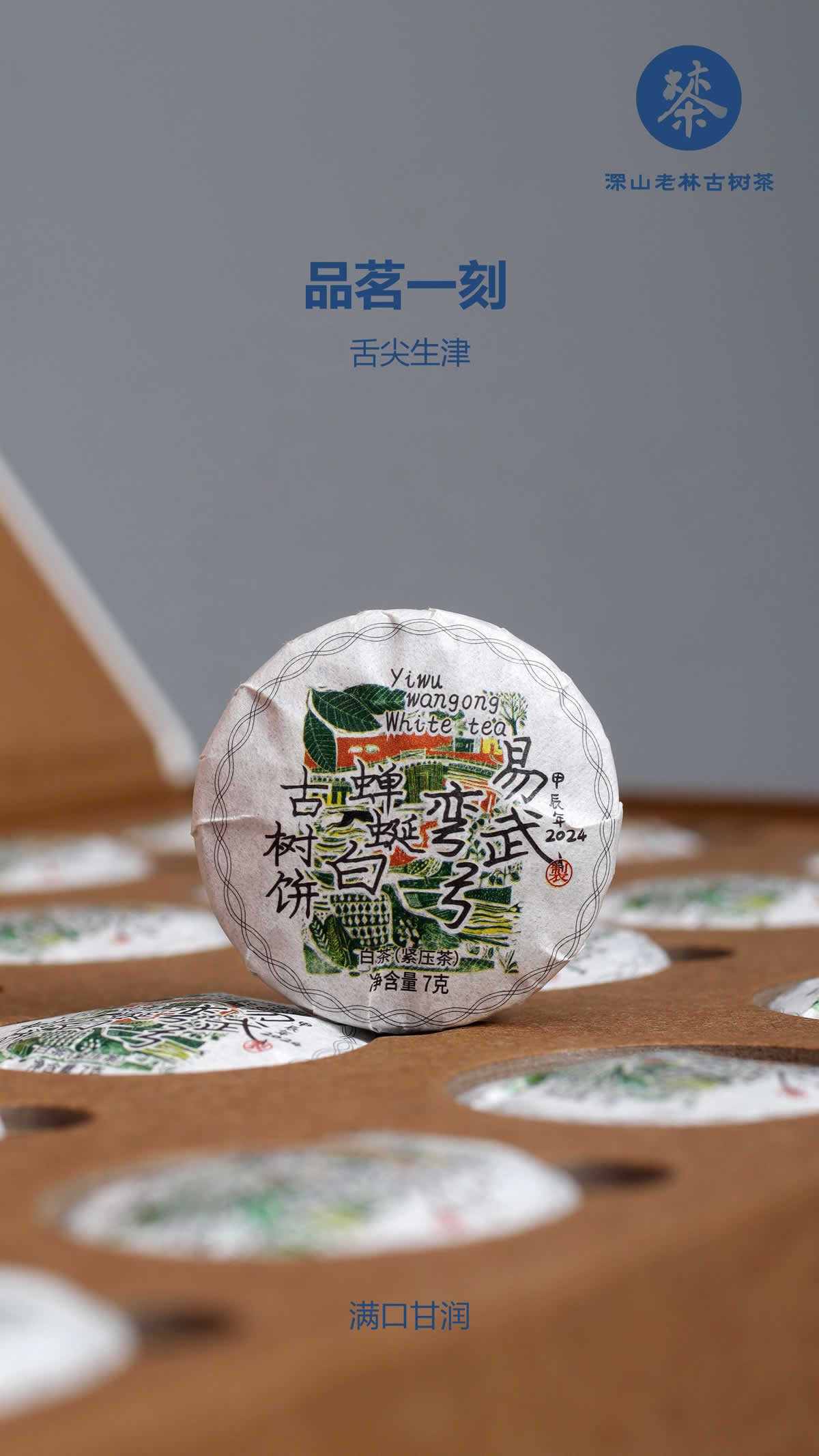 易武弯弓蝉蜒白茶8.jpg