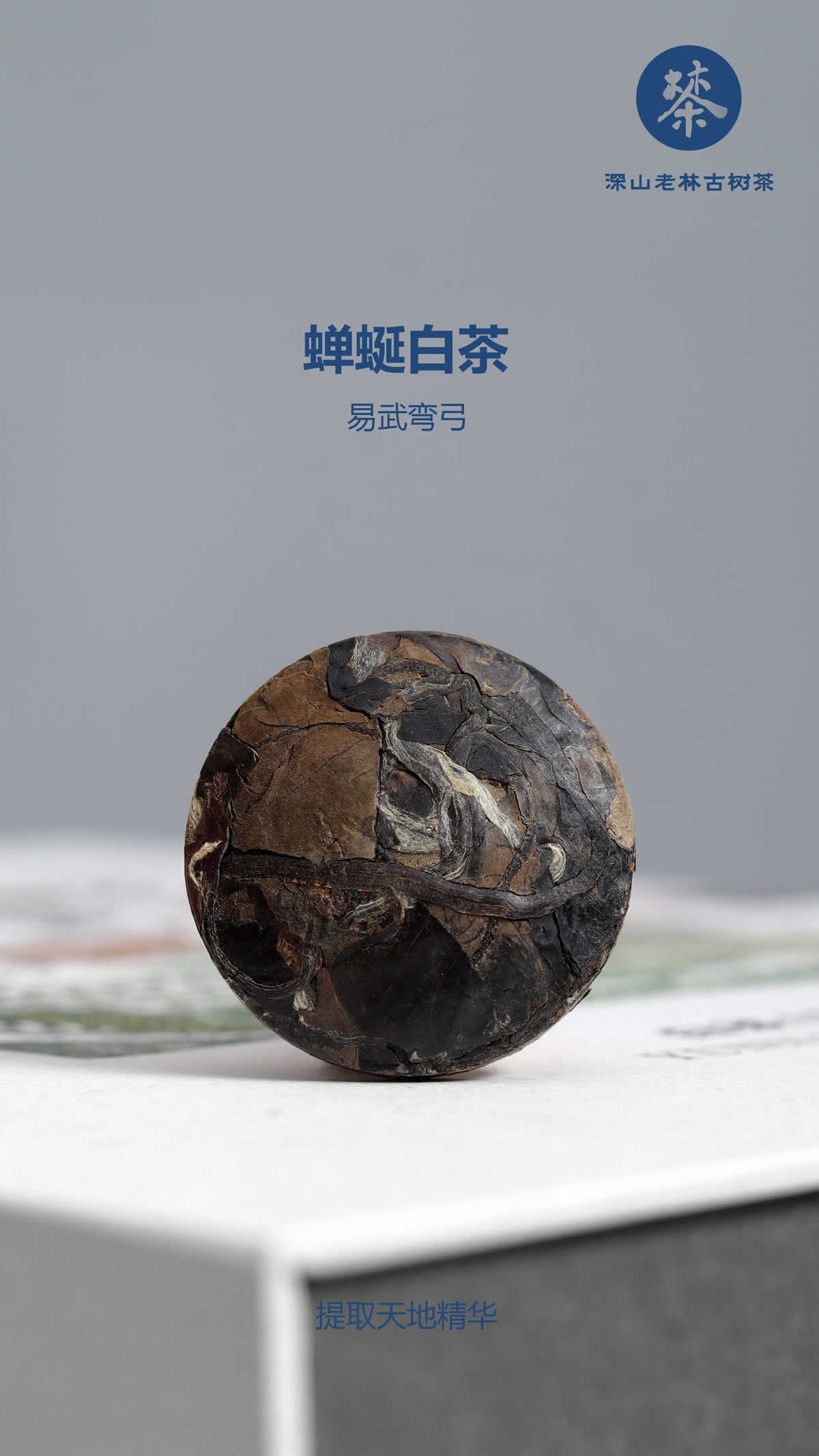 易武弯弓蝉蜒白茶11.jpg