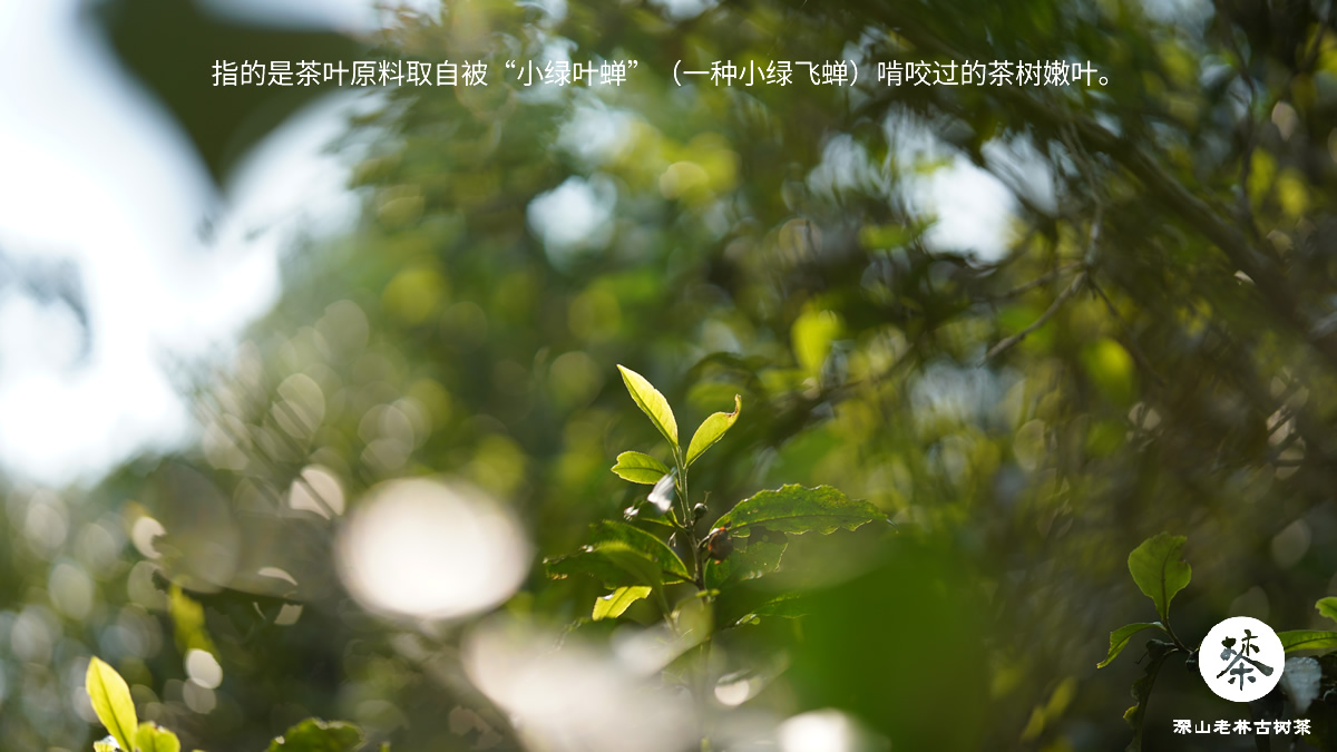 改-1.jpg