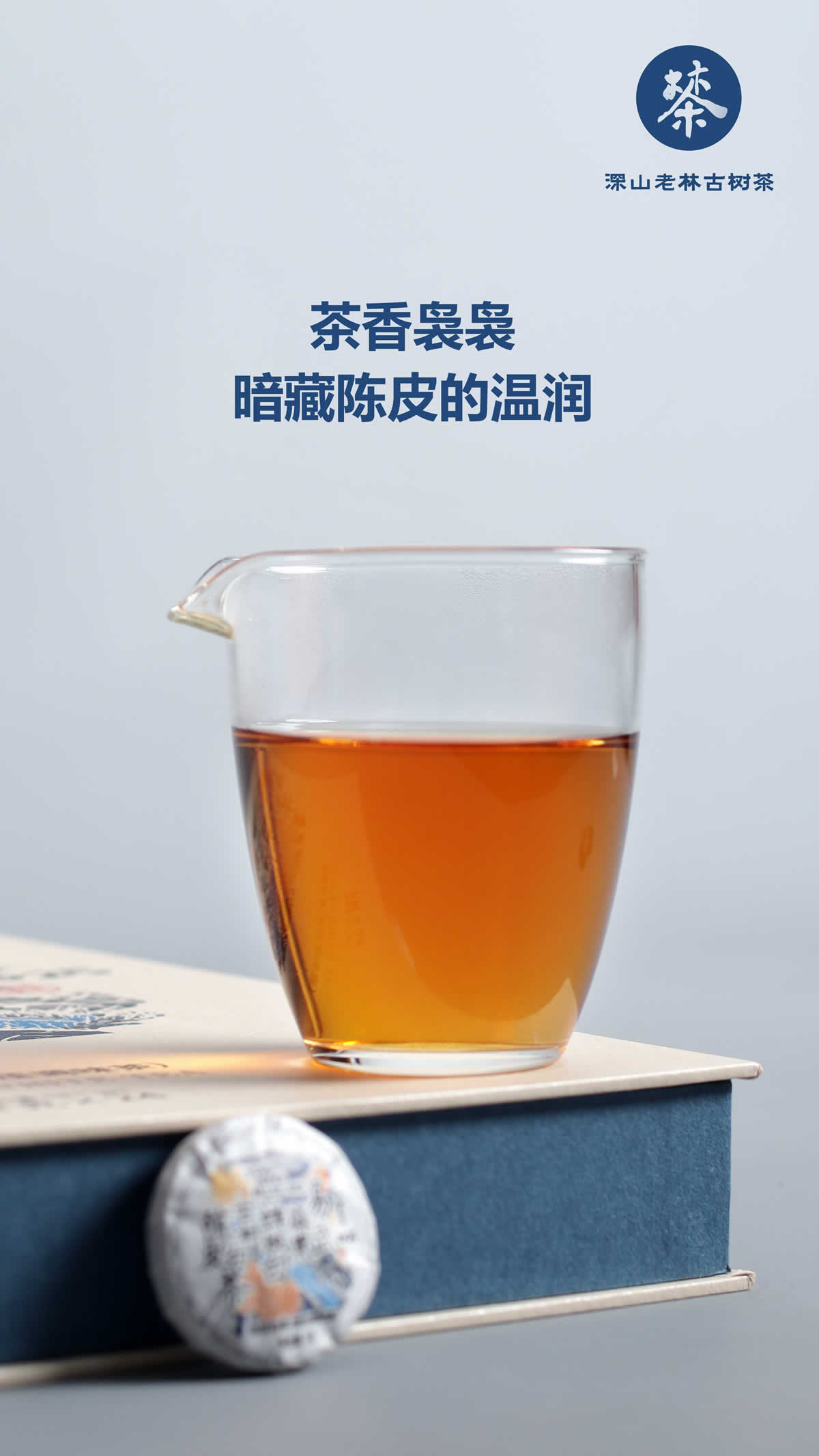 蝉蜒陈皮白茶4.jpg
