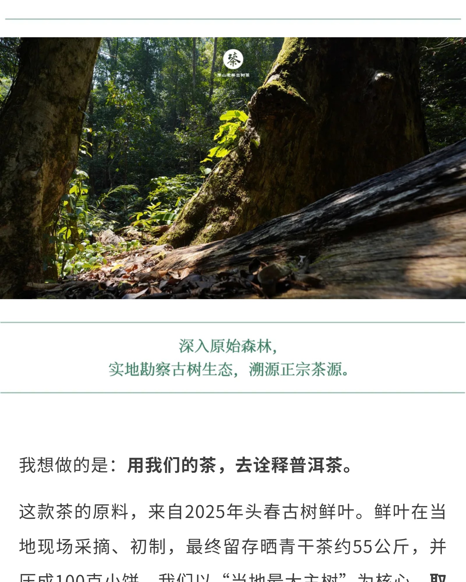 show_694628947_1776231197671_slice_6.jpg